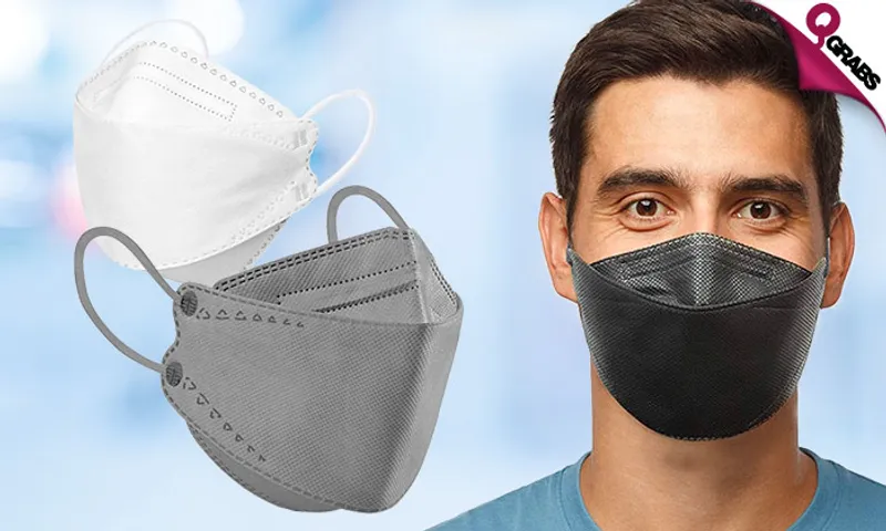 N95 Face Masks: Box of TEN!